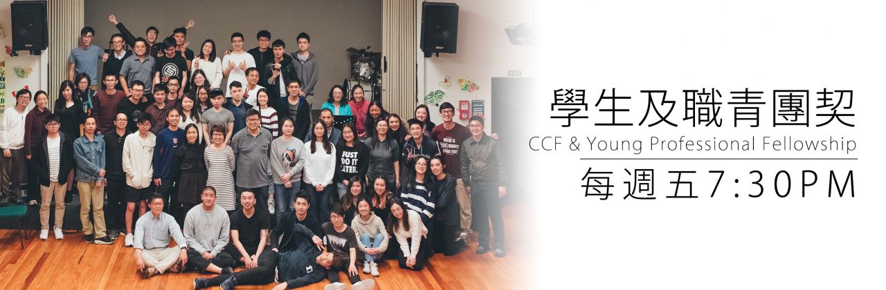 YoungPro_CCF_Fellowship